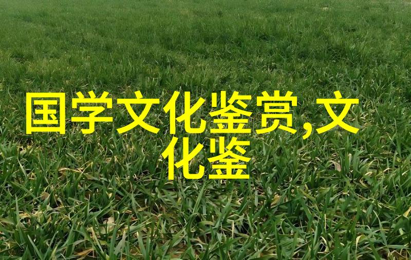 王学泰 王毅关于传统之中制度与文化关系的对话