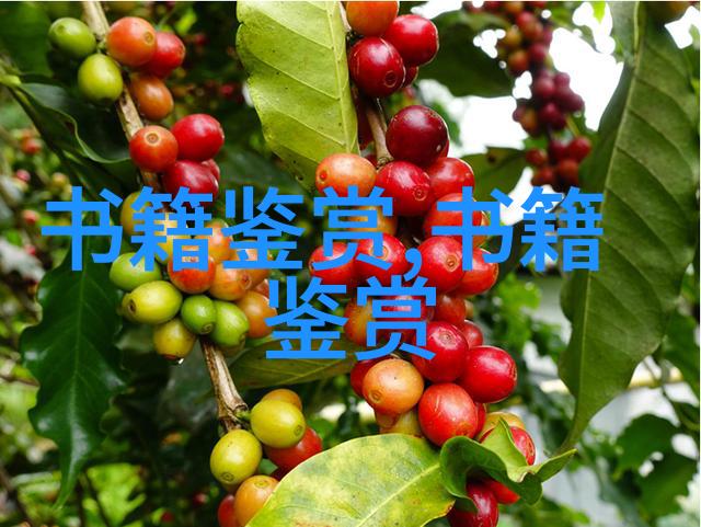 朱子語類卷第五十七 孟子七朱子语类