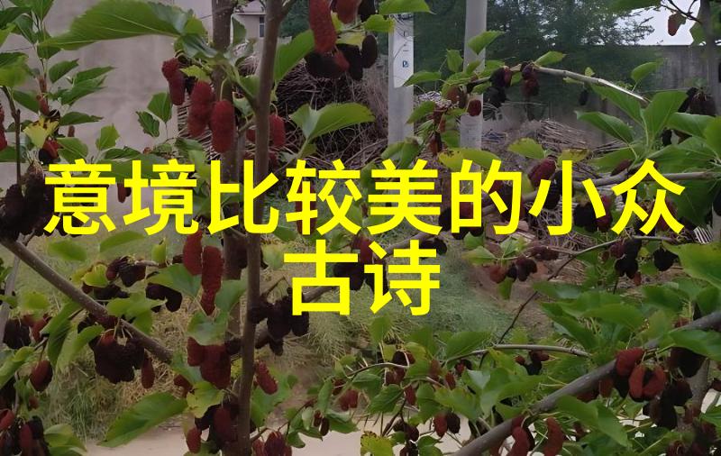 有关凄美爱情的诗句