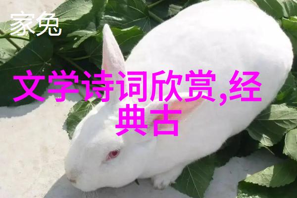 被安排好的路诗歌