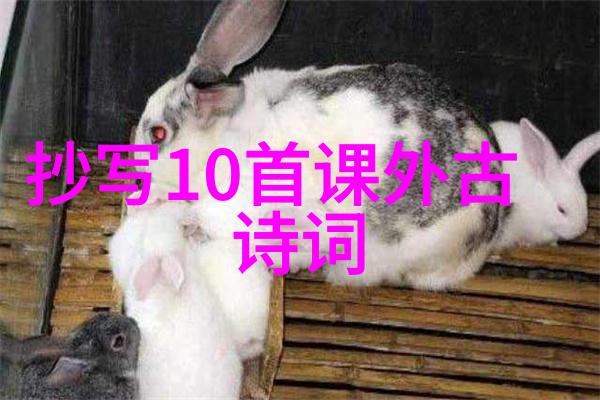 元素诗歌