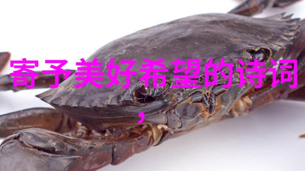 歌颂黄河的经典诗句