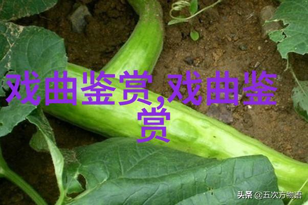 石评梅展现京剧程派艺术之美