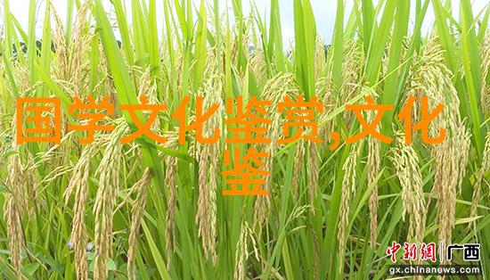 马盛德非遗保护如何更好地走进现代生活