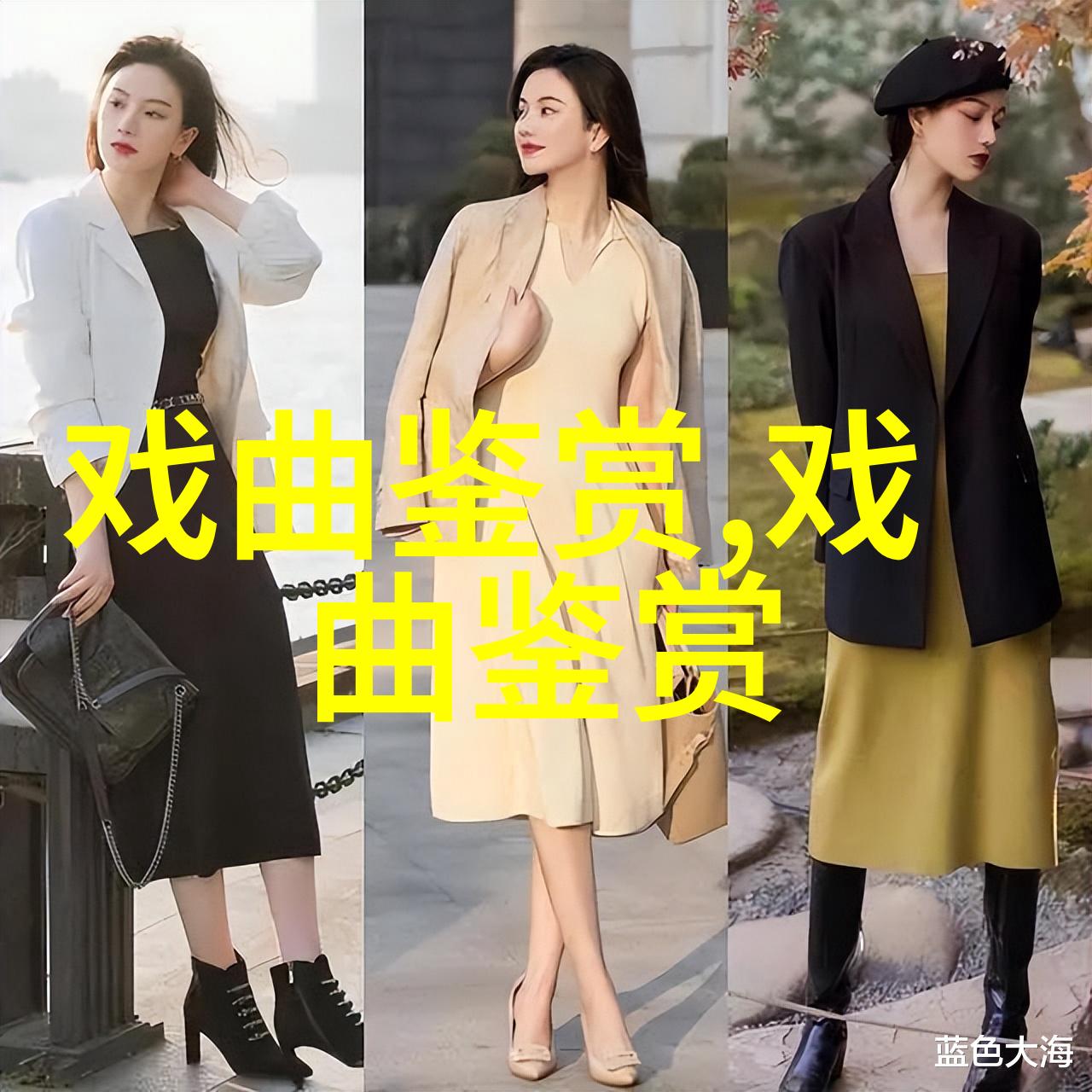 观看衣麟个人专场汇报演出